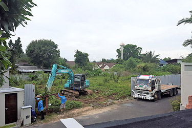 Removing the trees and weeds